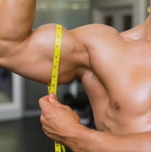 When Does Muscle Growth Begin After Training and What Is the Rate of This Process?