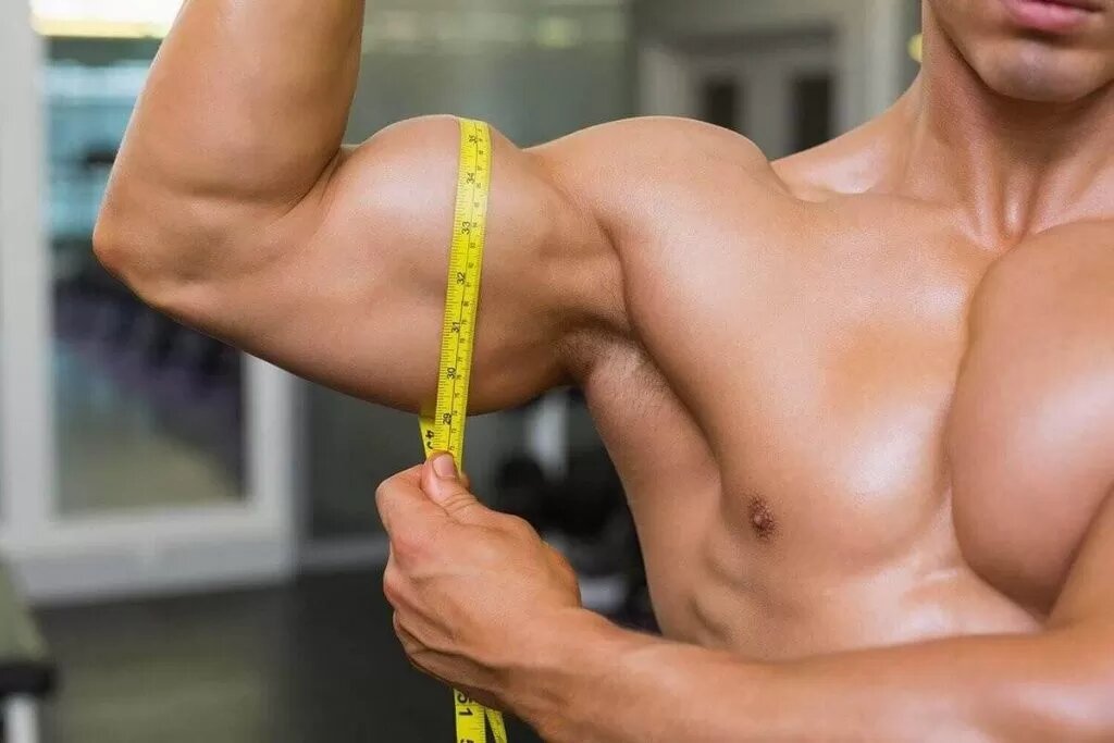 Muscle Growth Rate