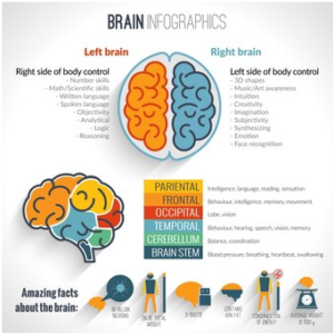 The Impact of Physical Activity on Cognitive Functions and Brain Health.