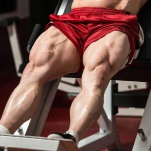 Best Exercises to Strengthen Leg Muscles: Proven Methods.