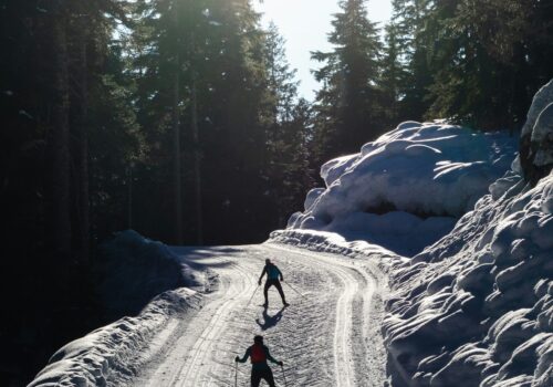 How to eat properly if you are a cross-country skier. Nutritional rules for cross-country skiing.